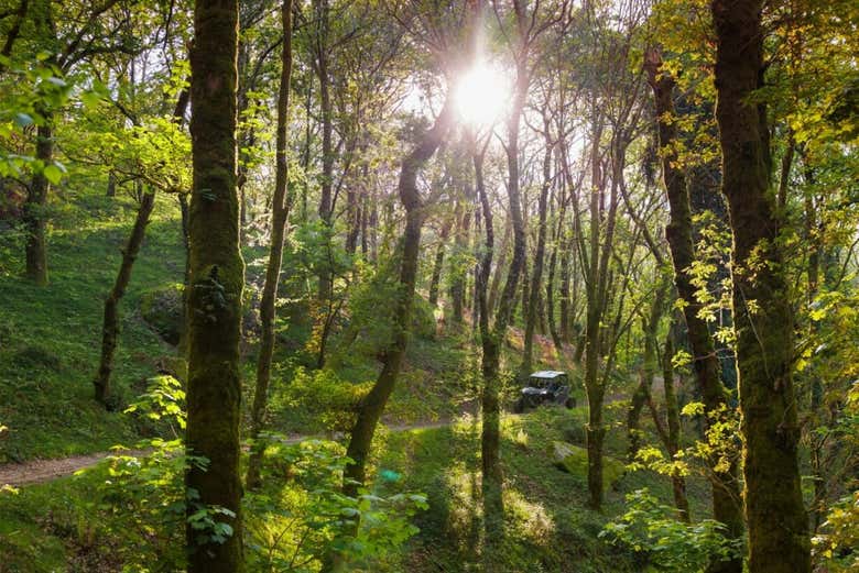 ¡Dejaos cautivar por la naturaleza portuguesa!