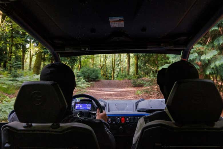 Pilotando uno de los buggies