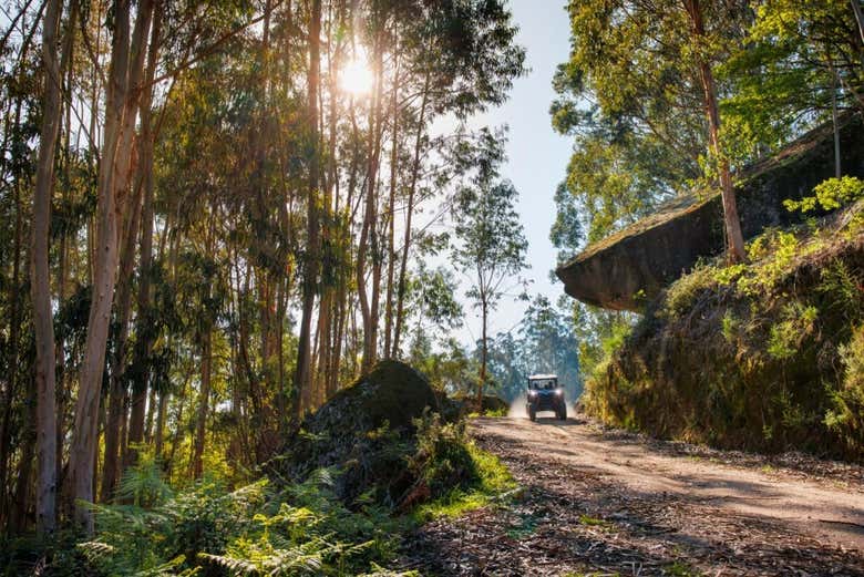 Recorriendo en buggy los bosques de Arcos de Valdevez