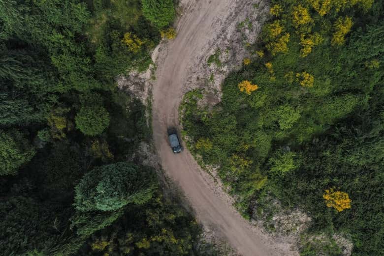  Atravesando una pista forestal