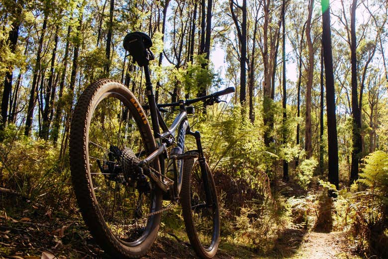 Vélo prêt pour la route