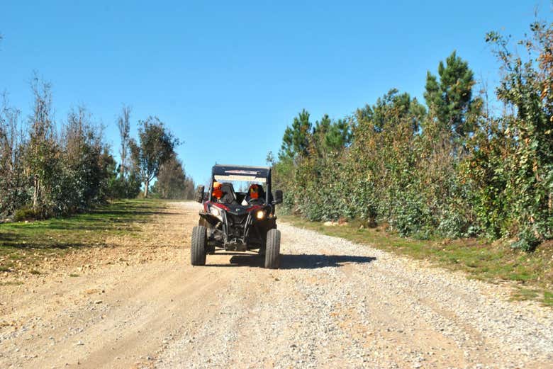 Traversez des sentiers en pleine nature