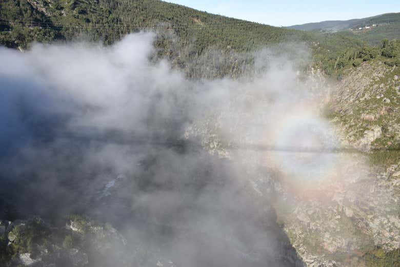 Camminerete sulle nuvole