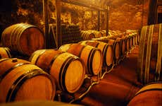Cata de vinos en Aveiro