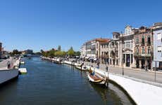 Free tour di Aveiro