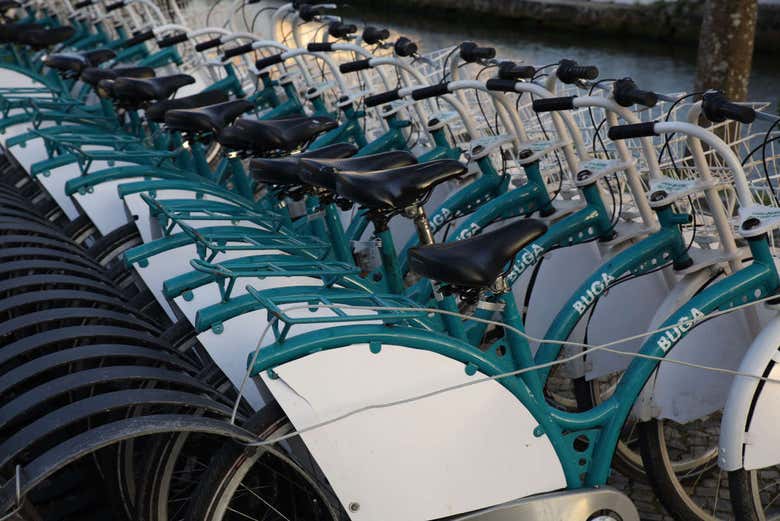 Bicicletas