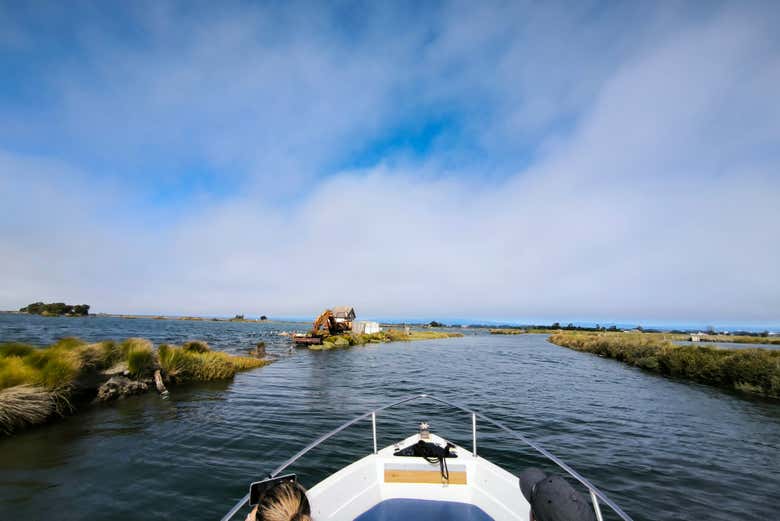 Navegad por los canales naturales que serpentean la ría