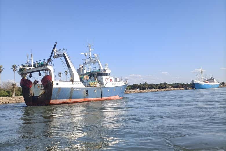Contemplad la tradición pesquera que sigue viva en la costa
