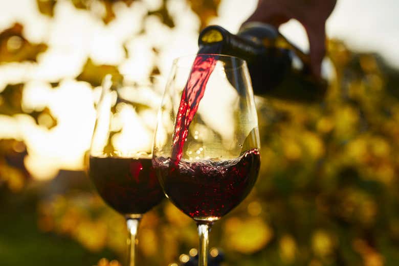 Degustação de vinhos portugueses