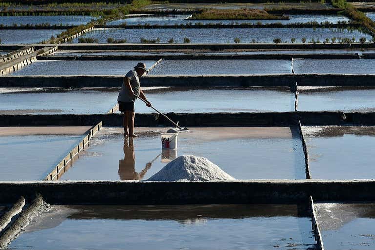 Vamos ver como é produzido o sal de Aveiro