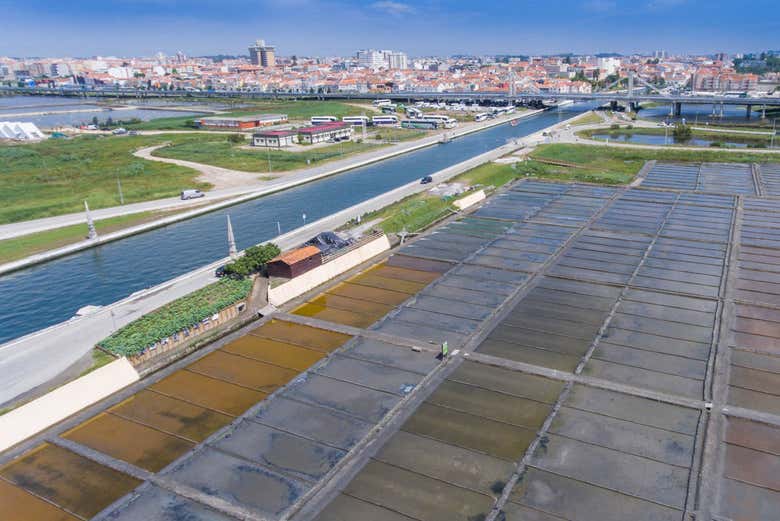 Salinas de Aveiro