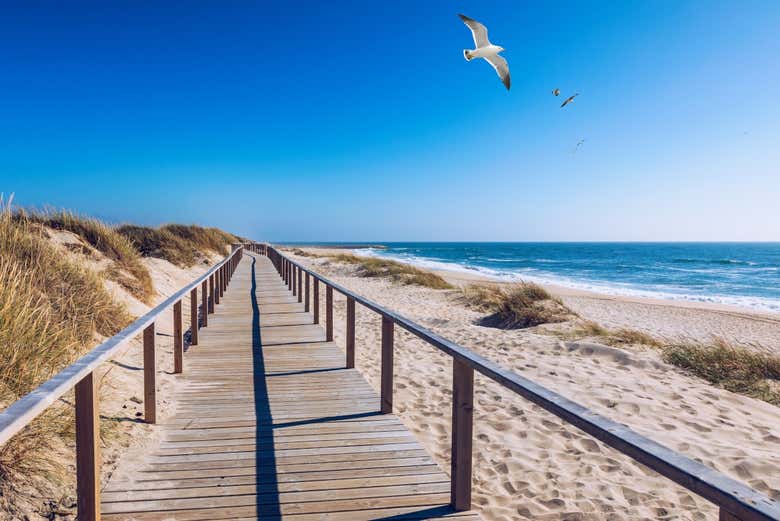 Paseando por las playas de Costa Nova