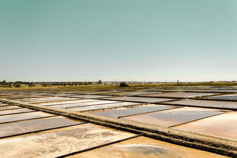 La Salinas de Aveiro