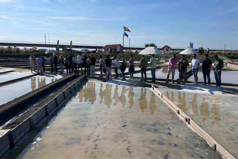 Descobrindo os segredos das salinas de Aveiro
