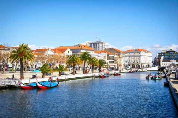 Tour por Costa Nova + Salinas + Paseo en barco moliceiro