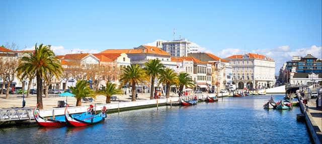 Tour por Costa Nova + Salinas + Paseo en barco moliceiro