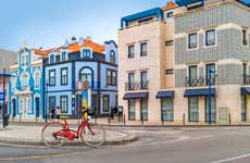 Tour di Aveiro in bicicletta