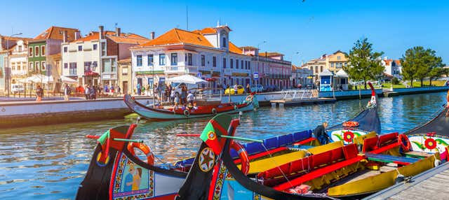 Tour privado por Aveiro com guia em português