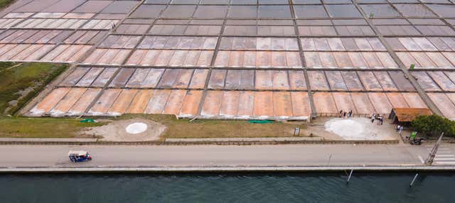 Visita guiada pelas salinas de Aveiro