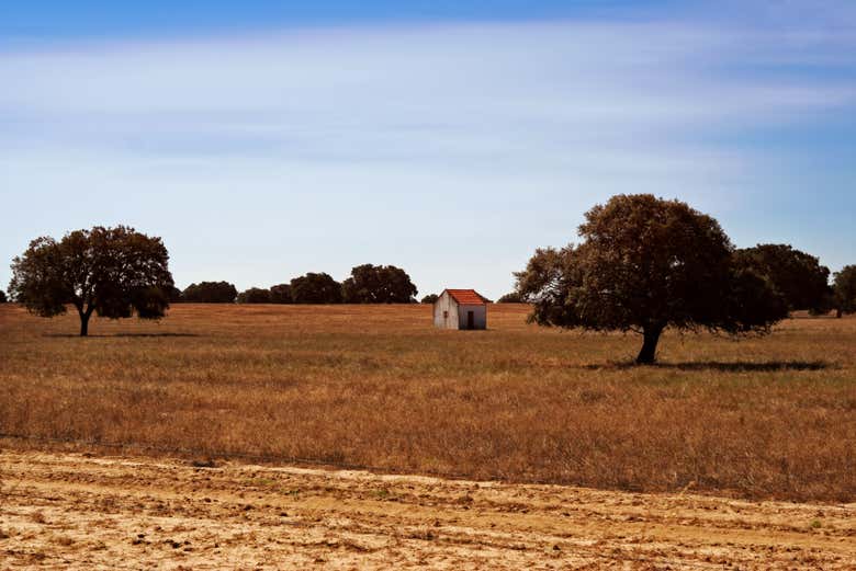 Zona de Vidigueira