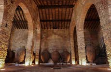 Visita à vinícola Grande Prova Honrado