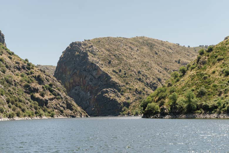 Barco Arribas do Douro By Naturisnor