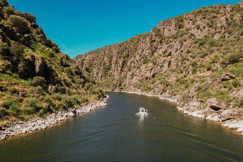 Barco Arribas do Douro By Naturisnor