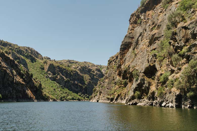 Barco Arribas do Douro By Naturisnor