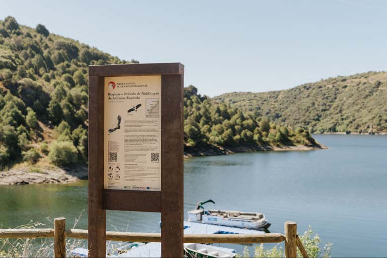 Barco Arribas do Douro By Naturisnor