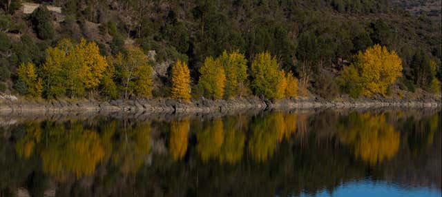 Paseo en barco por el Parque Natural del Duero Internacional 