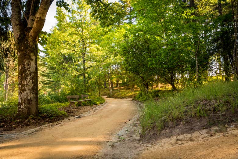 Un sentier forestier dans le parc naturel de Pedras Salgadas