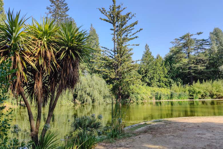 Visite du site naturel de Pedras Salgadas