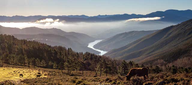 Peneda-Geres National Park Tour