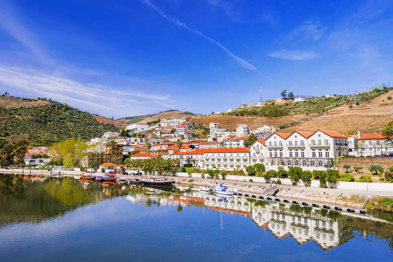 Pinhão