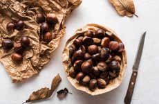 Braganza Liqueur & Chestnut Tasting