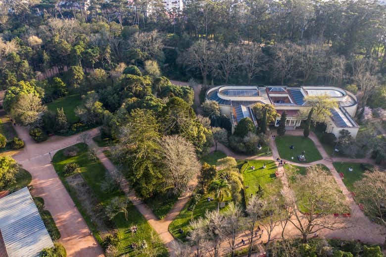 Vue aérienne du parc Dom Carlos I