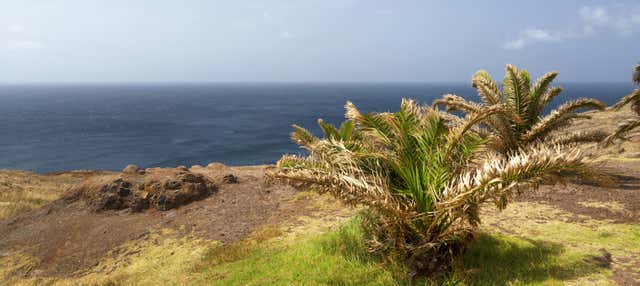 Ponta de São Lourenço + Kayaking & Snorkeling Tour