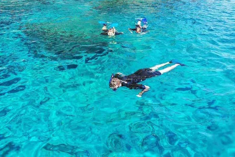 Snorkelling in Madeira