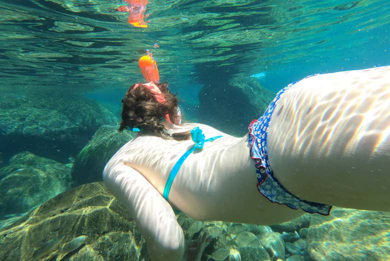 Snorkelling at Ponta de São Lourenço
