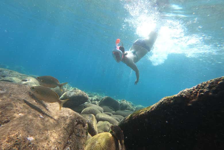 Snorkelling at Ponta de São Lourenço