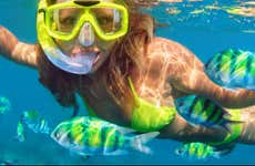 Snorkeling a Ponta de São Lourenço