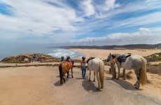 Passeggiata a cavallo sulla costa di Carrapateira