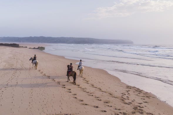 Balade à cheval sur la plage de Bordeira au coucher du soleil