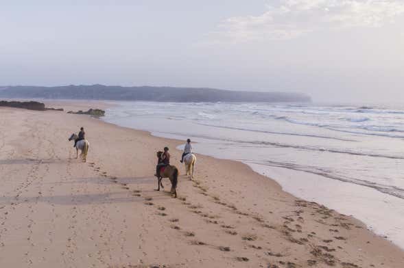 Passeio a cavalo pela praia da Bordeira ao entardecer