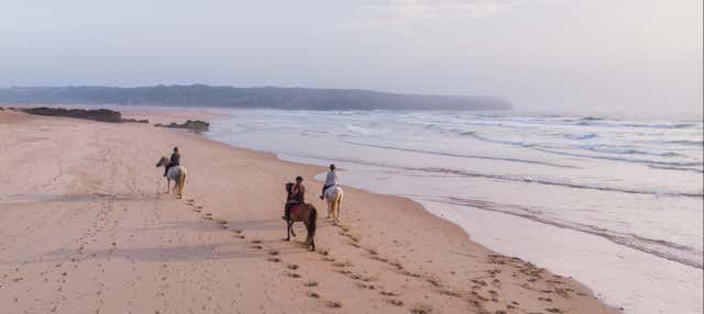 Passeio a cavalo pela praia da Bordeira ao entardecer