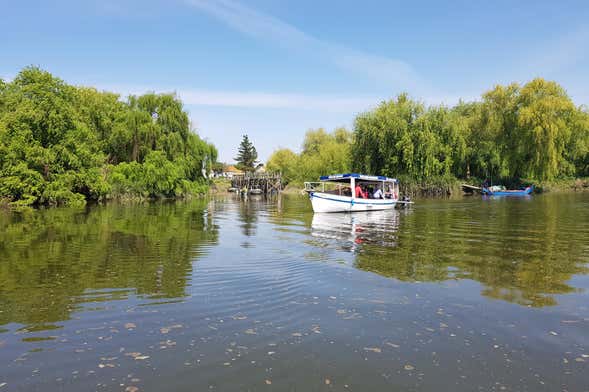 Paseo en barco por el río Tajo