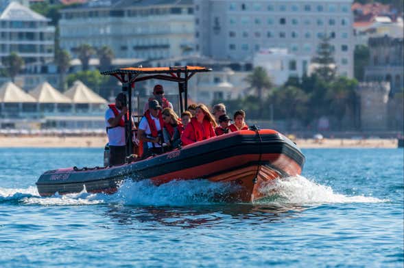 Avistamiento de delfines en Cascais