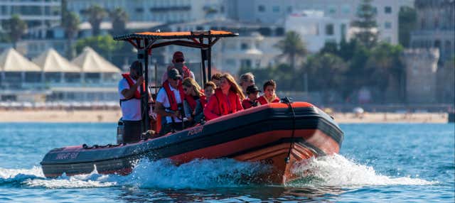 Avistamiento de delfines en Cascais