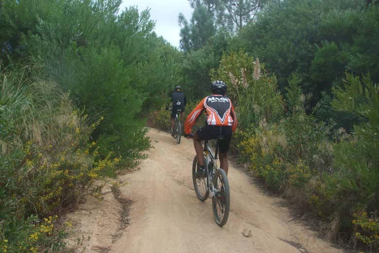 Desfrutando do tour de bicicleta