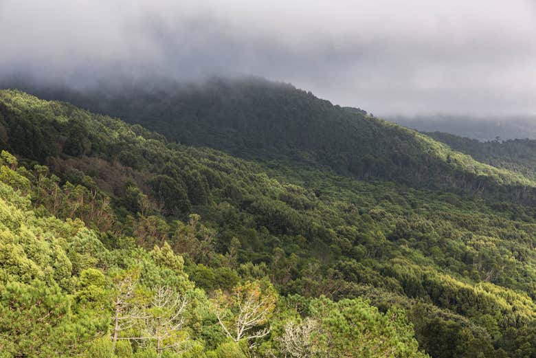 Naturaleza en el Parque Natural de Sintra-Cascais
